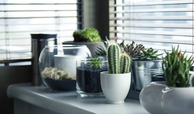 Best Smart Indoor Gardening Systems